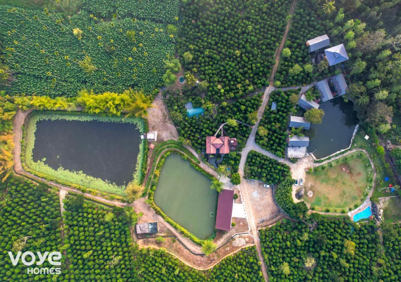 Niyatma Wayanad Pool Resort By Voye Homes Exterior photo